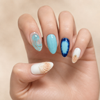 Shell Treasure